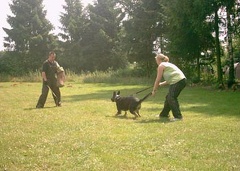 image22