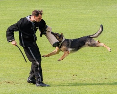 schwerstarbeit für die Helfer