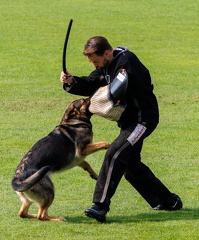 schwerstarbeit für die Helfer